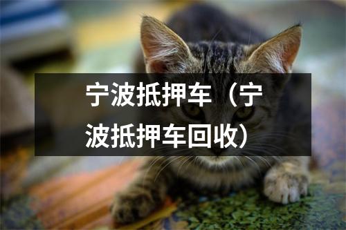 宁波抵押车(宁波抵押车回收)