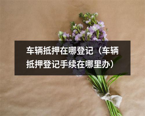 车辆抵押在哪登记（车辆抵押登记手续在哪里办）