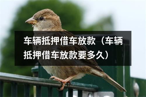 车辆抵押借车放款(车辆抵押借车放款要多久)