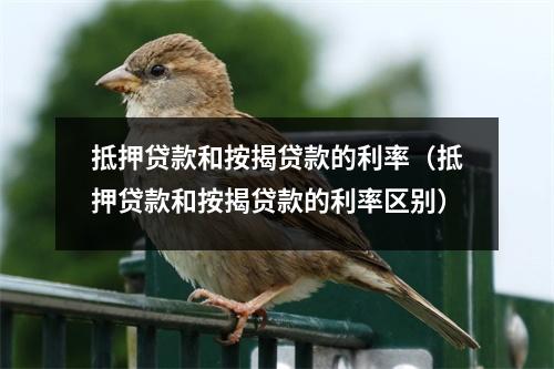 抵押贷款和按揭贷款的利率（抵押贷款和按揭贷款的利率区别）