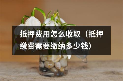 抵押费用怎么收取(抵押缴费需要缴纳多少钱)