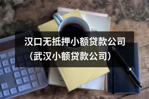 汉口无抵押小额贷款公司（武汉小额贷款公司）
