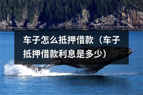 车子怎么抵押借款（车子抵押借款利息是多少）