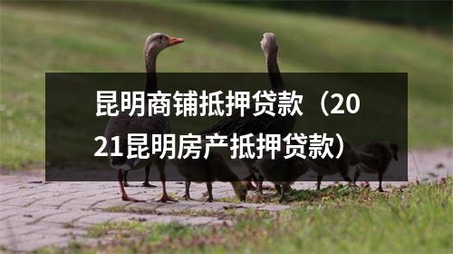 昆明商铺抵押贷款(2021昆明房产抵押贷款)