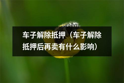 车子解除抵押（车子解除抵押后再卖有什么影响）
