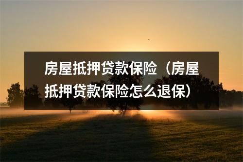 房屋抵押贷款保险（房屋抵押贷款保险怎么退保）