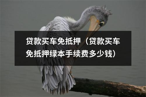 贷款买车免抵押（贷款买车免抵押绿本手续费多少钱）
