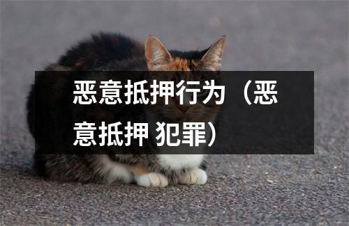 恶意抵押行为（恶意抵押 犯罪）