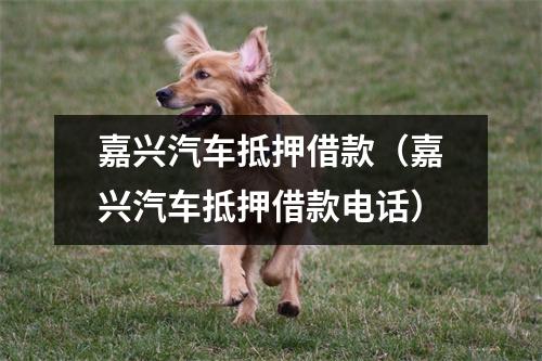 嘉兴汽车抵押借款（嘉兴汽车抵押借款电话）