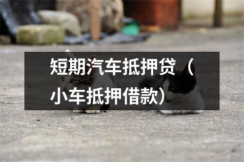 短期汽车抵押贷（小车抵押借款）