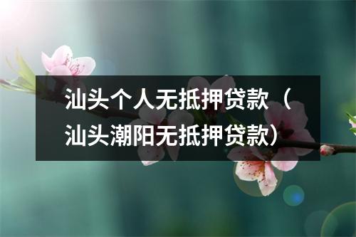 汕头个人无抵押贷款（汕头潮阳无抵押贷款）
