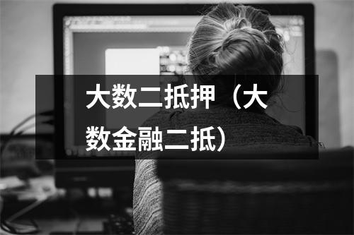 大数二抵押（大数金融二抵）