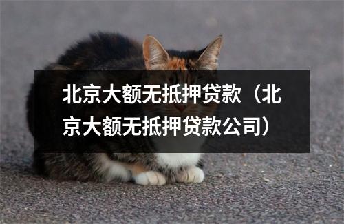 北京大额无抵押贷款(北京大额无抵押贷款公司)