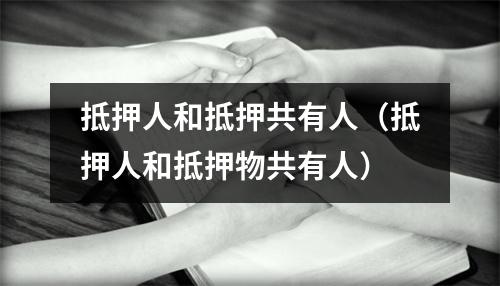 抵押人和抵押共有人（抵押人和抵押物共有人）