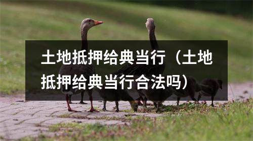 土地抵押给典当行（土地抵押给典当行合法吗）