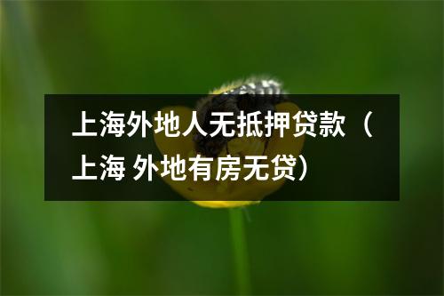 上海外地人无抵押贷款（上海 外地有房无贷）