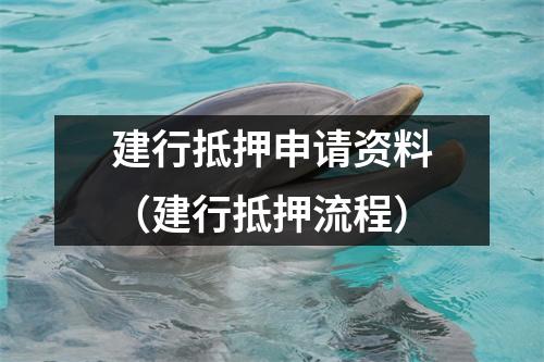 建行抵押申请资料（建行抵押流程）