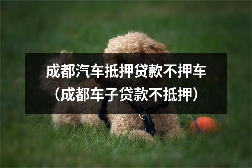成都汽车抵押贷款不押车（成都车子贷款不抵押）