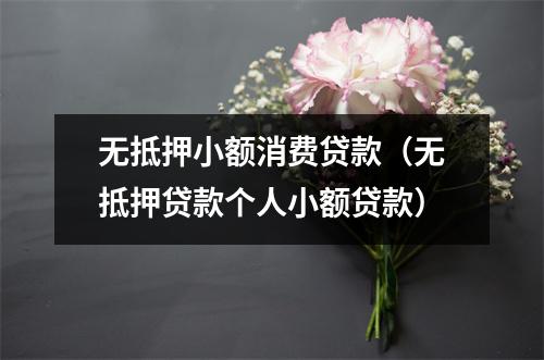 无抵押小额消费贷款（无抵押贷款个人小额贷款）