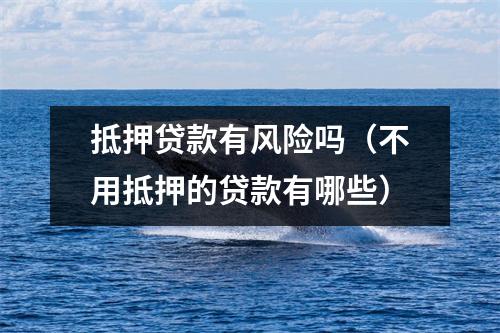 抵押贷款有风险吗（不用抵押的贷款有哪些）