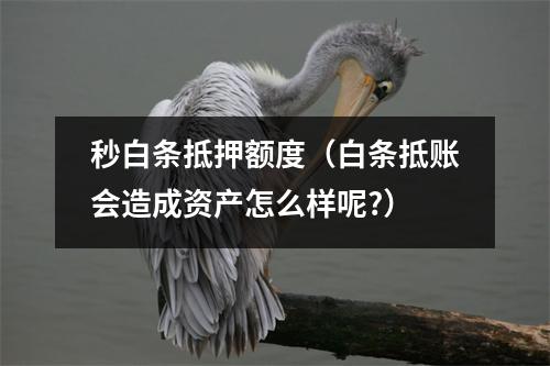 秒白条抵押额度（白条抵账会造成资产怎么样呢?）