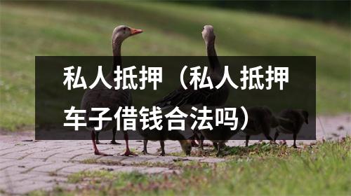 私人抵押（私人抵押车子借钱合法吗）