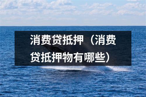 消费贷抵押（消费贷抵押物有哪些）