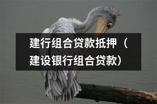 建行组合贷款抵押（建设银行组合贷款）