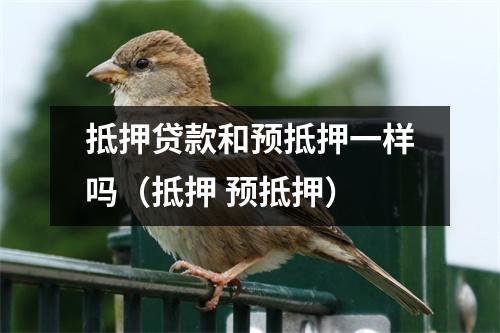 抵押贷款和预抵押一样吗（抵押 预抵押）