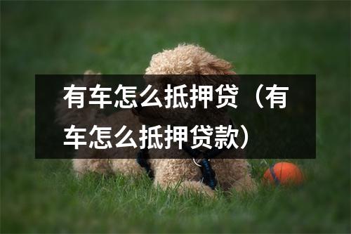 有车怎么抵押贷(有车怎么抵押贷款)