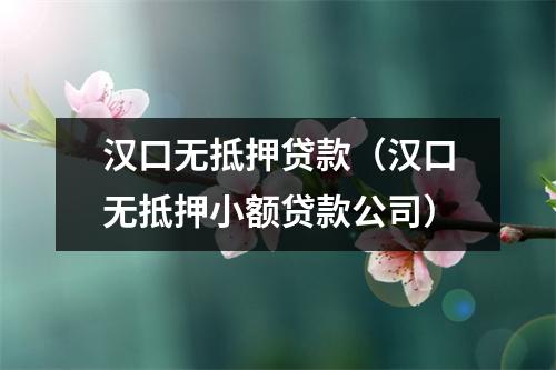 汉口无抵押贷款（汉口无抵押小额贷款公司）