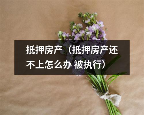 抵押房产（抵押房产还不上怎么办 被执行）