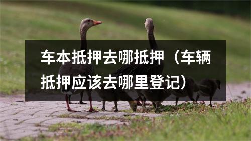 车本抵押去哪抵押（车辆抵押应该去哪里登记）