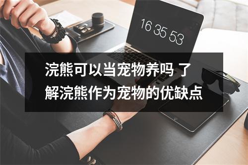 浣熊可以当宠物养吗 了解浣熊作为宠物的优缺点