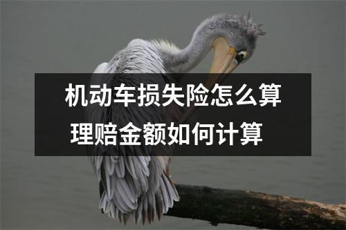 机动车损失险怎么算 理赔金额如何计算