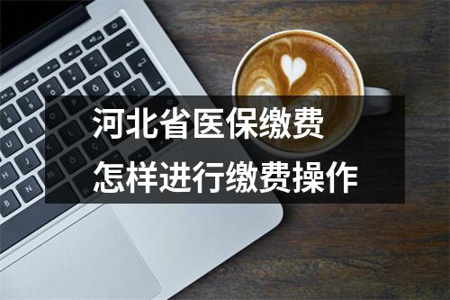 河北省医保缴费 怎样进行缴费操作