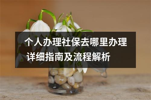 个人办理社保去哪里办理 详细指南及流程解析