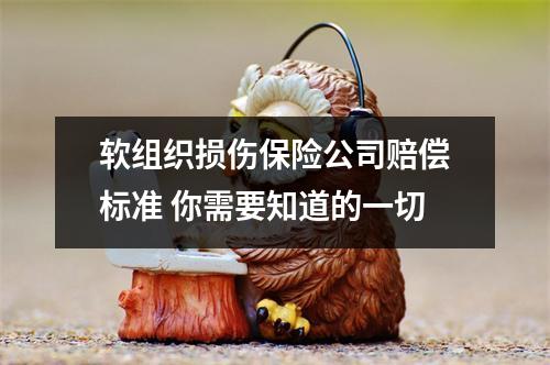 软组织损伤保险公司赔偿标准 你需要知道的一切