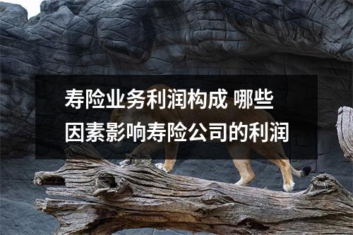 寿险业务利润构成 哪些因素影响寿险公司的利润