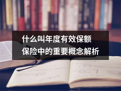 什么叫年度有效保额 保险中的重要概念解析
