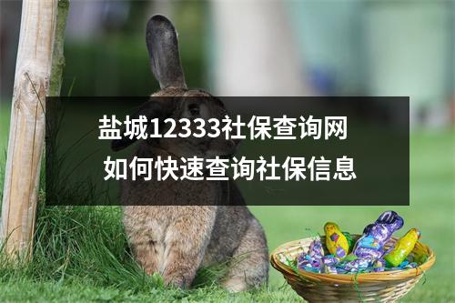 盐城12333社保查询网 如何快速查询社保信息