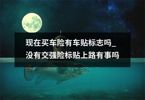 现在买车险有车贴标志吗_没有交强险标贴上路有事吗