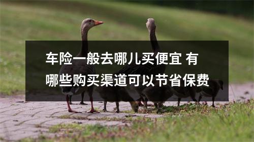 车险一般去哪儿买便宜 有哪些购买渠道可以节省保费