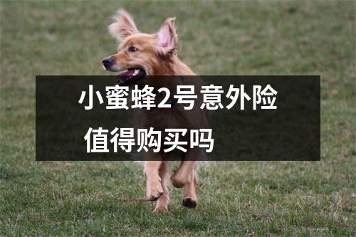 小蜜蜂2号意外险 值得购买吗 