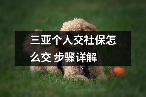 三亚个人交社保怎么交 步骤详解