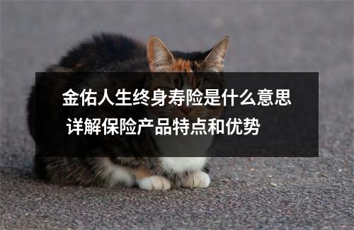 金佑人生终身寿险是什么意思 详解保险产品特点和优势