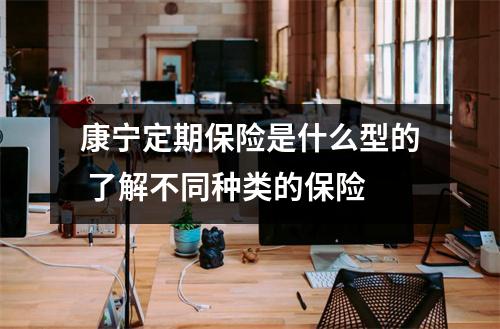 康宁定期保险是什么型的 了解不同种类的保险