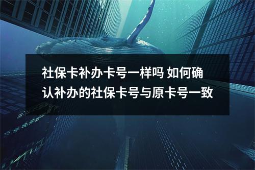 社保卡补办卡号一样吗 如何确认补办的社保卡号与原卡号一致
