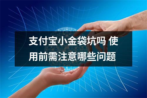 支付宝小金袋坑吗 使用前需注意哪些问题