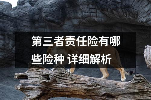 第三者责任险有哪些险种 详细解析